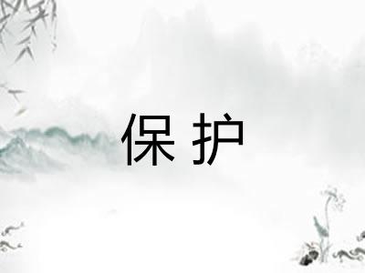 保护 保护