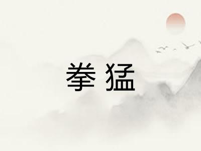 拳猛 拳猛