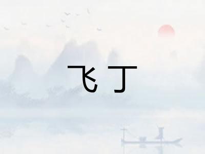 飞丁 飞丁