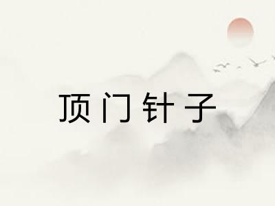 顶门针子 顶门针子