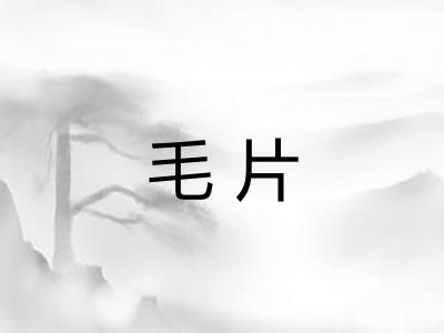 毛片