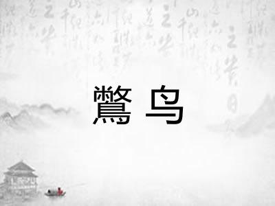 鷩鸟