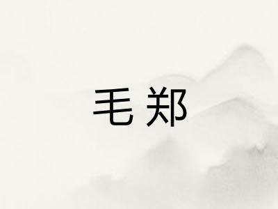 毛郑 毛郑