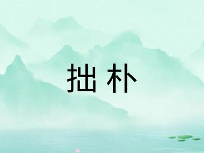 拙朴