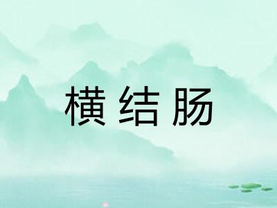横结肠