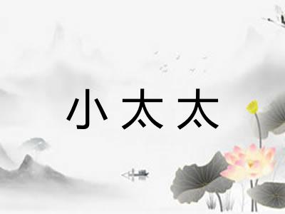 小太太 小太太