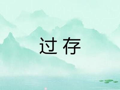 过存 过存