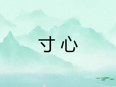 寸心