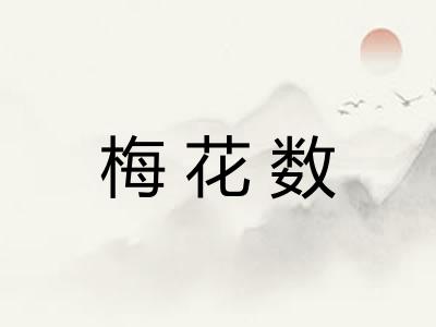 梅花数