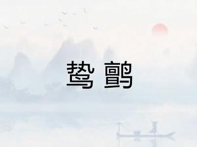 鸷鹯