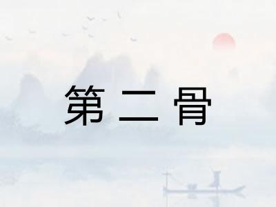 第二骨 第二骨