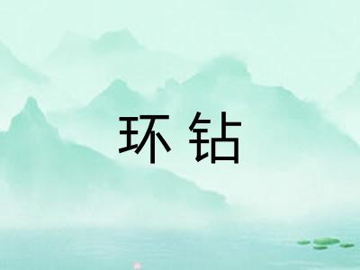 环钻 环钻
