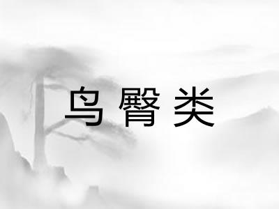 鸟臀类