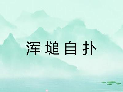 浑塠自扑