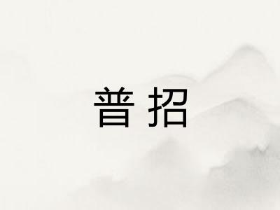 普招