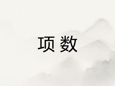 项数 项数