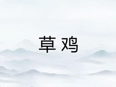 草鸡 草鸡