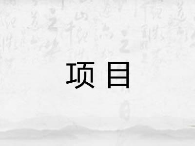 项目