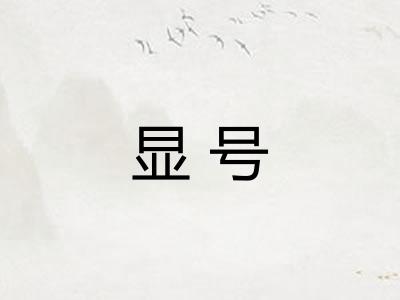 显号 显号