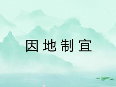 因地制宜