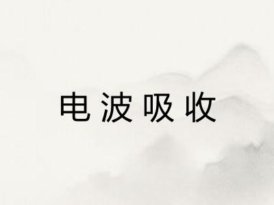 电波吸收