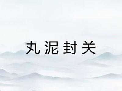 丸泥封关 丸泥封关