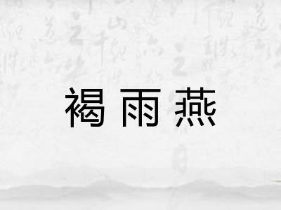 褐雨燕