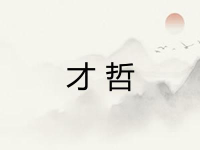 才哲