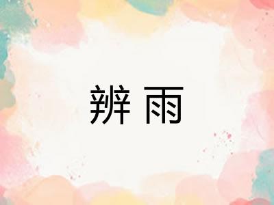 辨雨