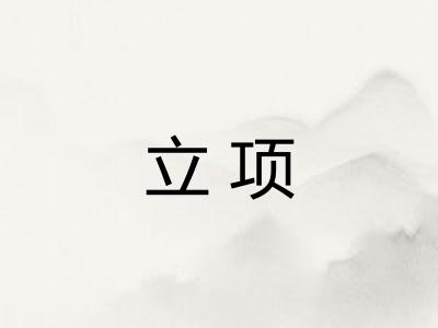 立项