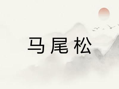 马尾松