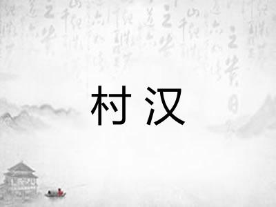 村汉 村汉