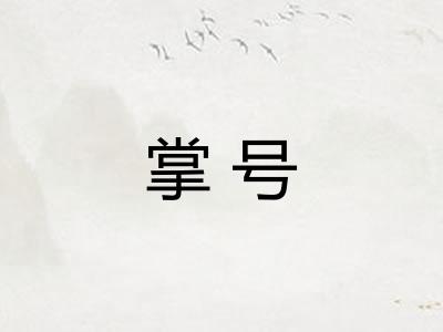 掌号