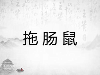 拖肠鼠