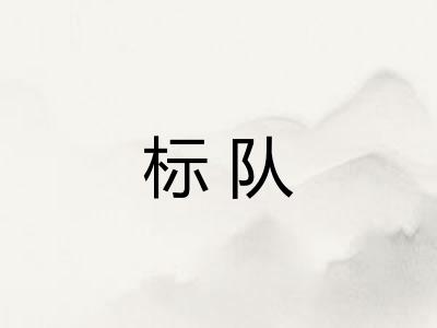 标队 标队