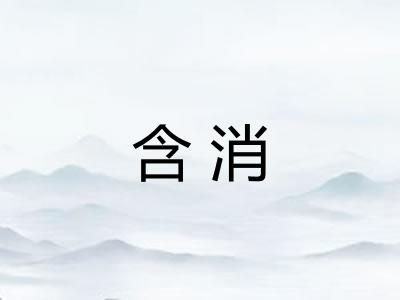 含消