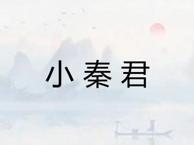 小秦君