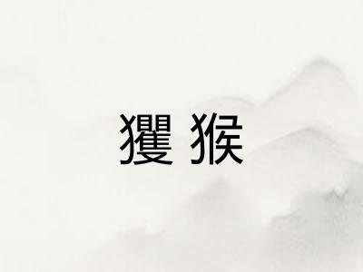 玃猴