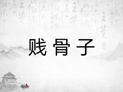 贱骨子 贱骨子