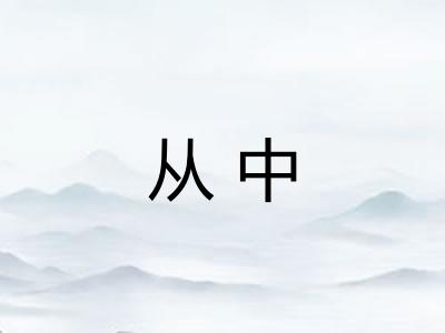 从中