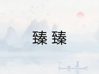 臻臻