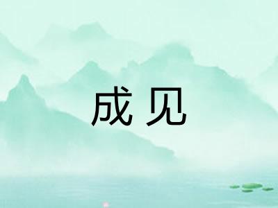 成见 成见