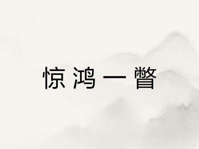 惊鸿一瞥 惊鸿一瞥