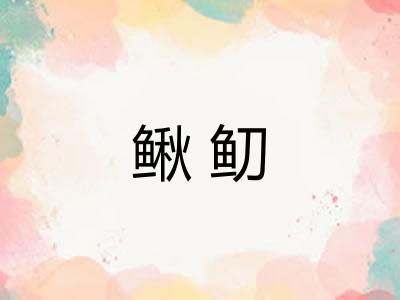 鳅鱽