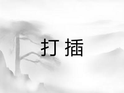 打插 打插