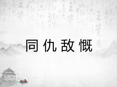 同仇敌慨