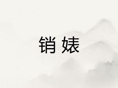 销婊