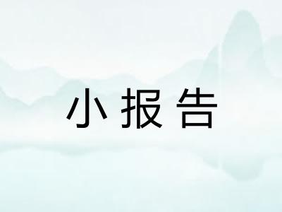 小报告