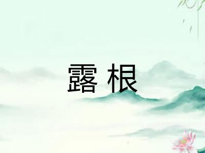 露根