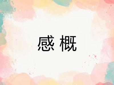 感概